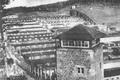 Le-camp-Flossenburg-1945_0_1400_743