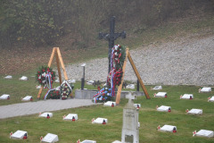 IMG-20241111-WA0007