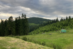 IMG_1760