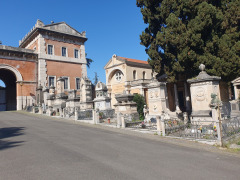 Cintorin-Verano-2
